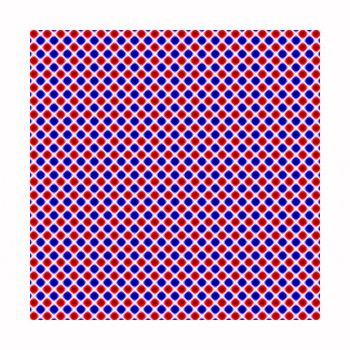 1111.jpg